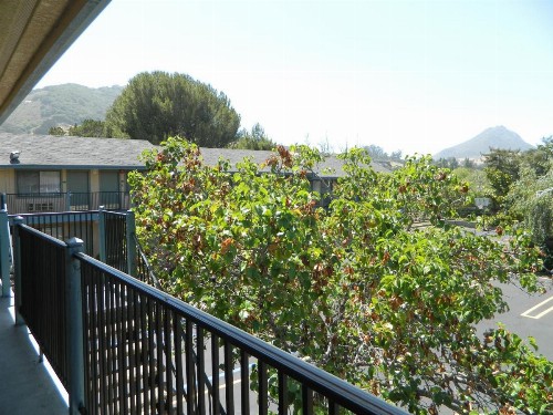 DOWNTOWN SLO INN - SAN LUIS OBISPO - image 20