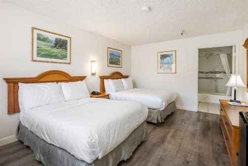 DOWNTOWN SLO INN - SAN LUIS OBISPO - image 9