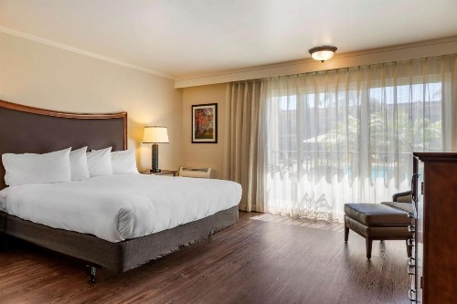 Best Western Plus Royal Oak Hotel - image 13