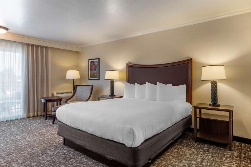Best Western Plus Royal Oak Hotel - image 16