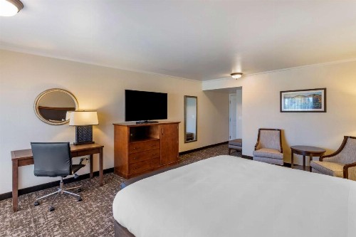Best Western Plus Royal Oak Hotel - image 17