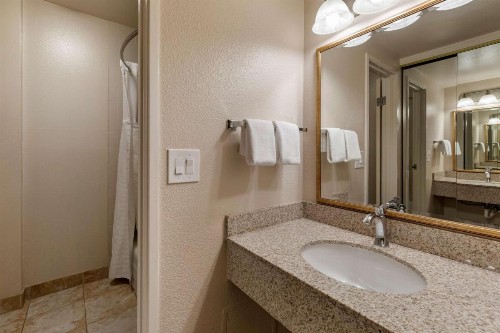 Best Western Plus Royal Oak Hotel - image 22