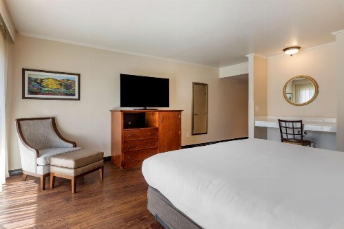 Best Western Plus Royal Oak Hotel - image 23
