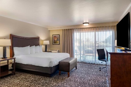Best Western Plus Royal Oak Hotel - image 24