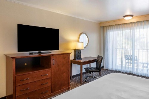 Best Western Plus Royal Oak Hotel - image 26