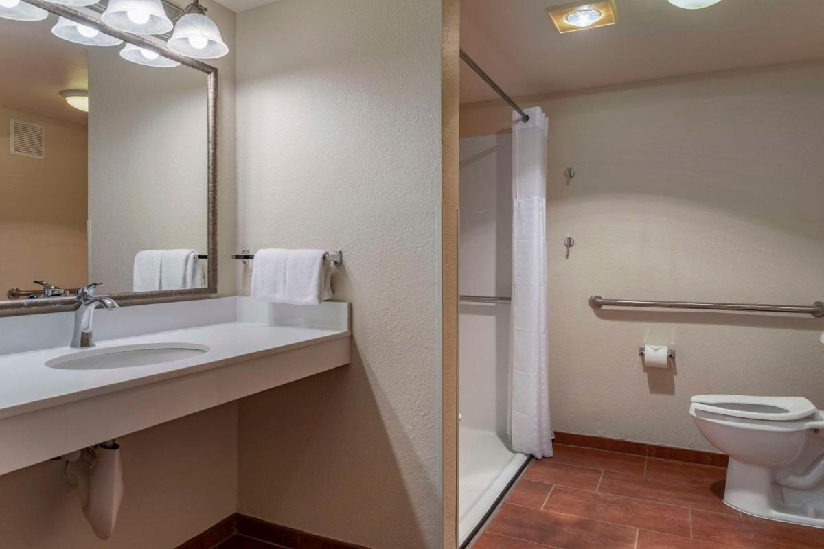 Best Western Plus Royal Oak Hotel - image 3