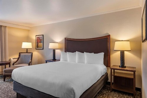 Best Western Plus Royal Oak Hotel - image 33