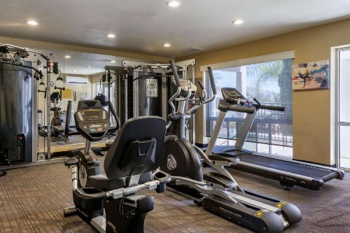 Best Western Plus Royal Oak Hotel - image 9