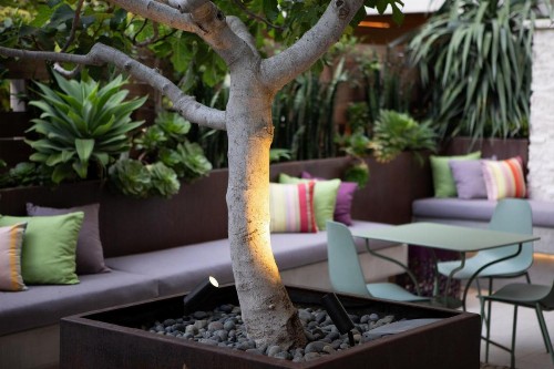 Hotel Cerro - image 32