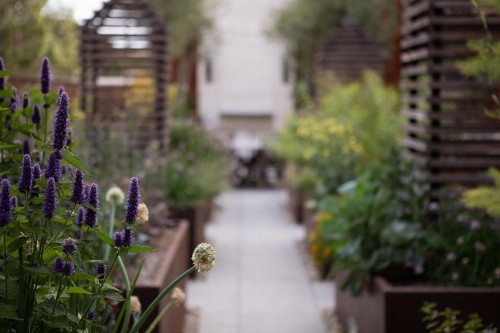Hotel Cerro - image 36