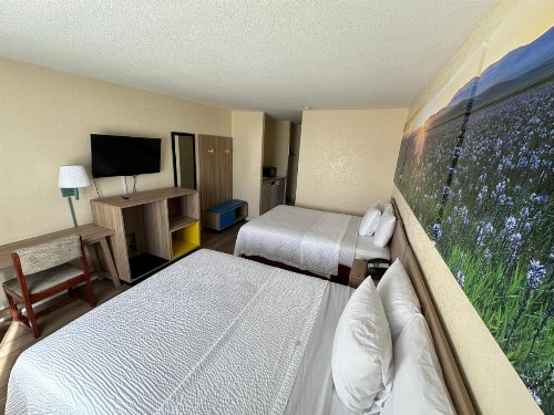 Days Inn by Wyndham San Marcos - image 2