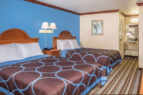 Super 8 by Wyndham San Marcos - image 12