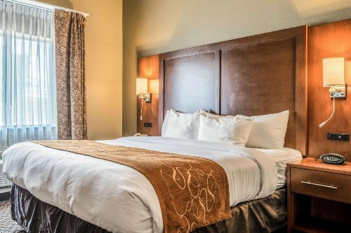 Comfort Suites Near Texas State University - image 11
