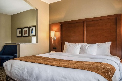 Comfort Suites Near Texas State University - image 19
