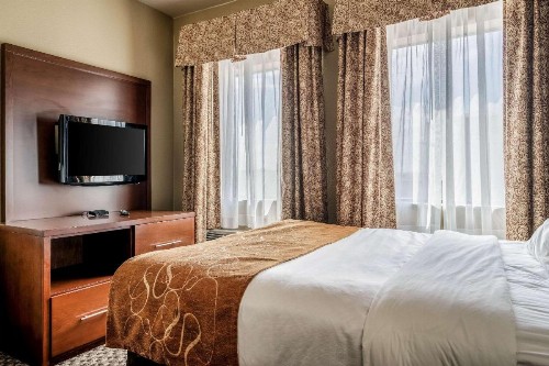 Comfort Suites Near Texas State University - image 24