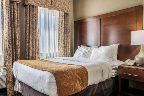 Comfort Suites Near Texas State University - image 27