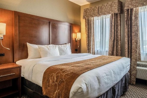 Comfort Suites Near Texas State University - image 28