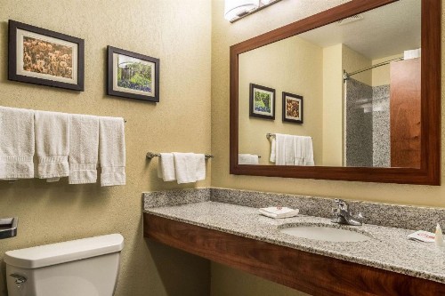Comfort Suites Near Texas State University - image 31