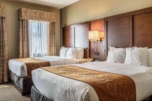 Comfort Suites Near Texas State University - image 4