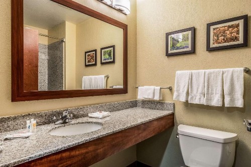 Comfort Suites Near Texas State University - image 6