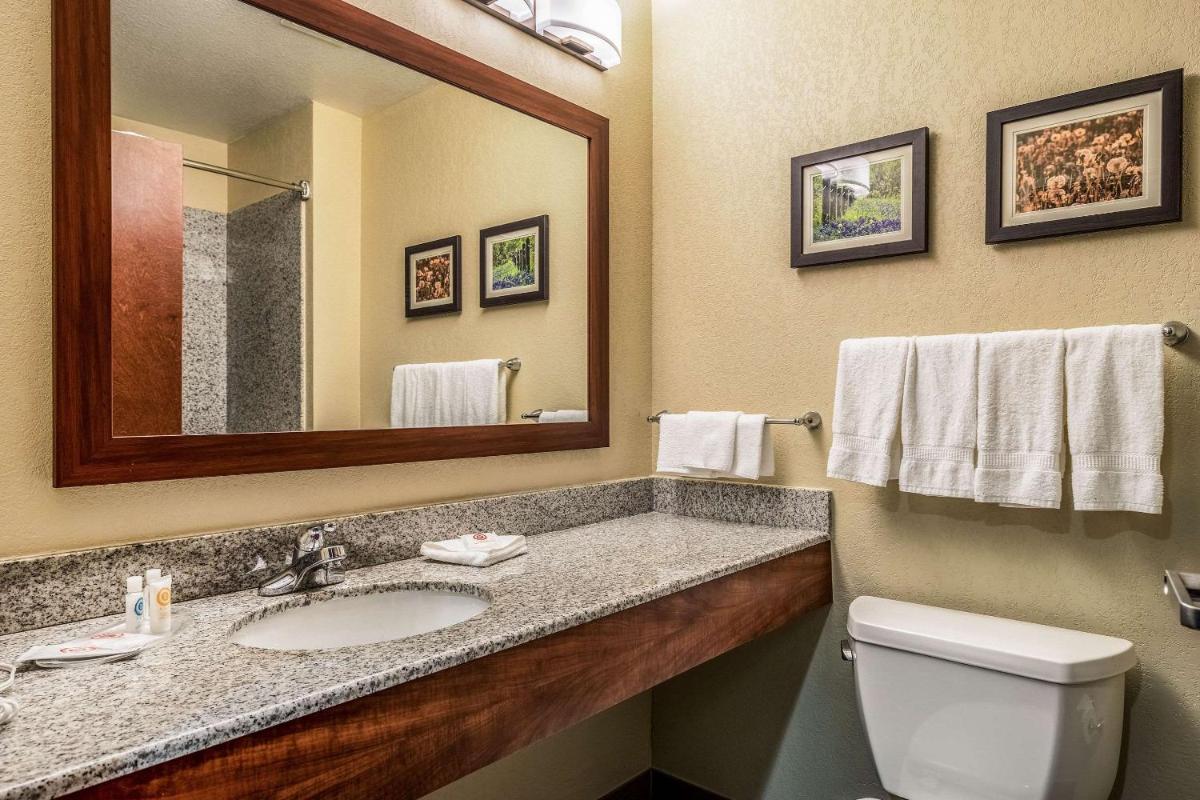 Comfort Suites Near Texas State University - image 6