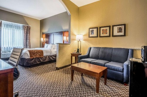 Comfort Suites Near Texas State University - image 7