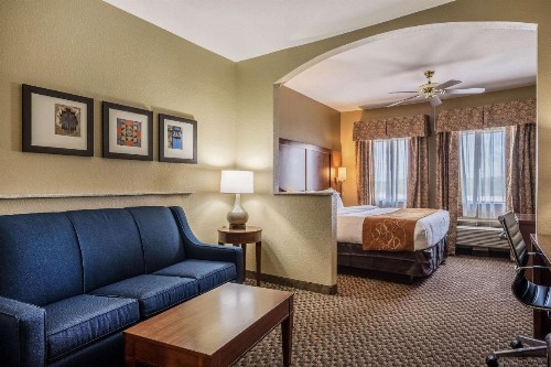 Comfort Suites Near Texas State University - image 8