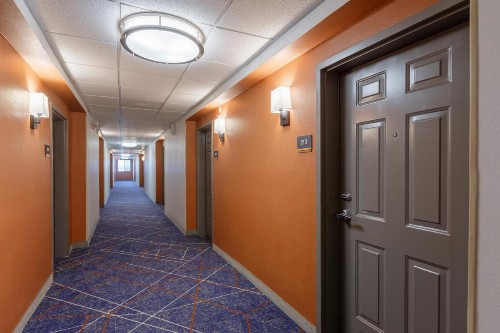 Candlewood Suites San Marcos an IHG Hotel - image 22
