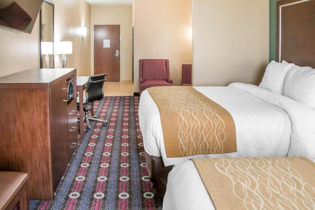 Comfort Inn & Suites San Marcos - image 2