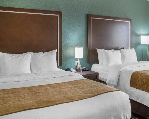 Comfort Inn & Suites San Marcos - image 20