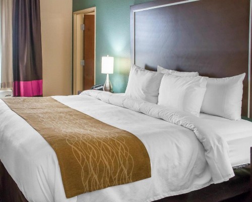 Comfort Inn & Suites San Marcos - image 21