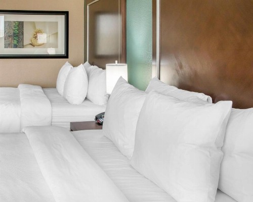 Comfort Inn & Suites San Marcos - image 24