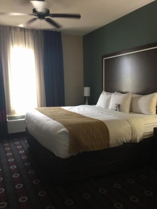 Comfort Inn & Suites San Marcos - image 28