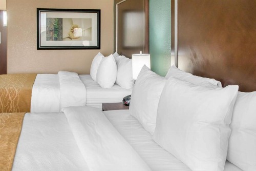 Comfort Inn & Suites San Marcos - image 35