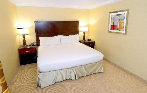 Holiday Inn & Suites San Mateo - SFO an IHG Hotel - image 40