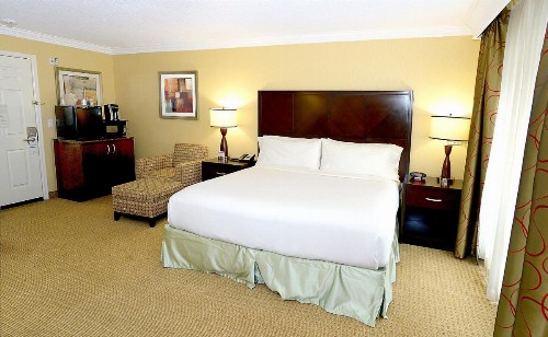 Holiday Inn & Suites San Mateo - SFO an IHG Hotel - image 41