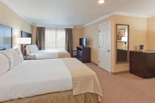 Holiday Inn & Suites San Mateo - SFO an IHG Hotel - image 9