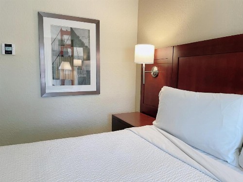 Four Points by Sheraton San Rafael Marin County - image 12