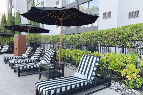 Four Points by Sheraton San Rafael Marin County - image 18