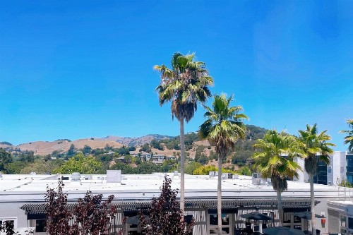 Four Points by Sheraton San Rafael Marin County - image 39