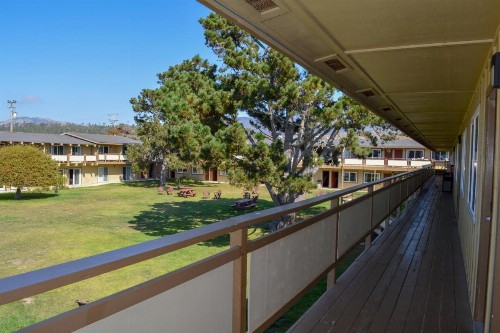 Silver Surf Motel - image 17