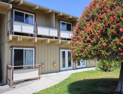Silver Surf Motel - image 27