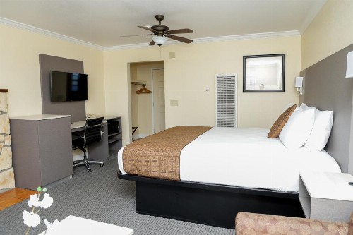 Silver Surf Motel - image 3
