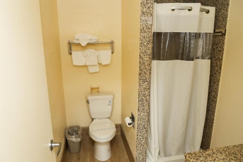 Silver Surf Motel - image 36