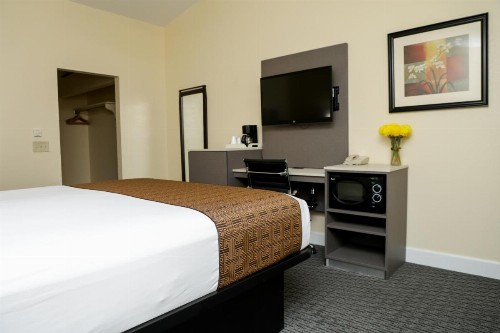 Silver Surf Motel - image 41