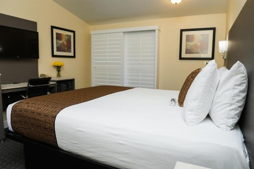 Silver Surf Motel - image 43