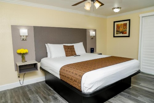 Silver Surf Motel - image 48
