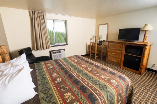 FairBridge Inn and Suites Sandpoint - image 2