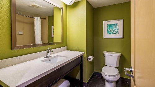Best Western Plus Sanford Airport/Lake Mary Hotel - image 13