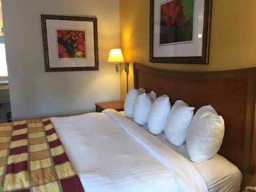 Budget Inn Sanford International Airport - image 14